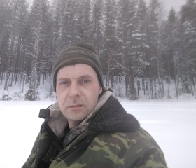 Егор, 36 лет, Мирный (Архангельская обл.)