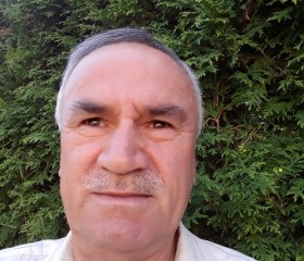 Геннадии, 65 лет, Солнечногорск