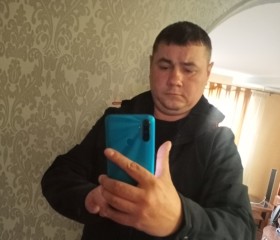 Андрей, 40 лет, Курск