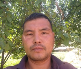 Максат, 39 лет, Бишкек