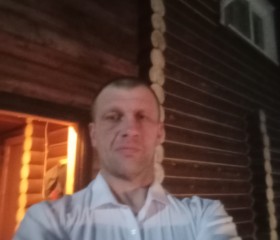 Сергей, 44 года, Лоухи