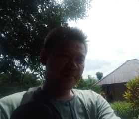 Kalalo manansal, 43 года, Kota Manado