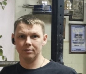 Вячеслав, 42 года, Ивантеевка (Московская обл.)