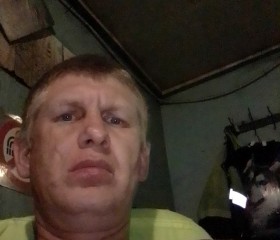 Николай Ильиных, 42 года, Промышленная