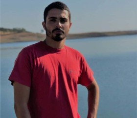 Dinis , 30, Ferreiras