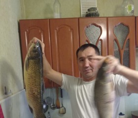 Kulan Hahar, 50, Frankfurt am Main