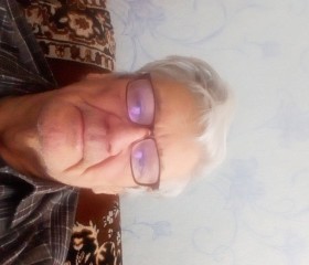 Владимир, 73 года, Тольятти