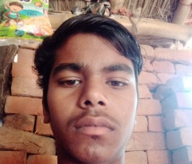 ANIt kumar Kumar, 20 лет, Kanpur