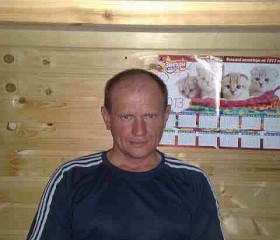 Александр, 47 лет, Ярославская