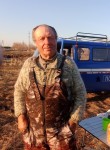 Валерий, 68 лет, Ульяновск