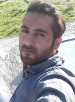 aliahmadi, 34 года, شیراز
