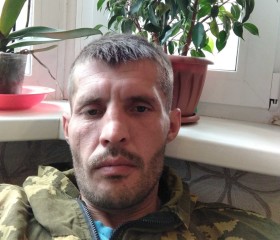 Виталий, 40 лет, Первомайское