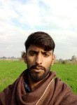 Sajid Ali, 25 лет, لاہور