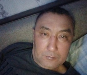 Арыстан, 45 лет, Павлодар