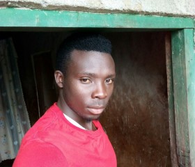 System, 28, Katumba