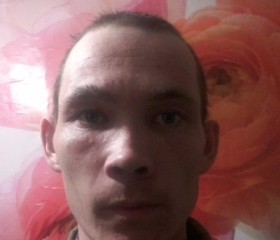 Денис, 38 лет, Кировский