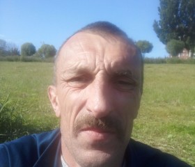 Николай Тт, 53 года, Дедовск