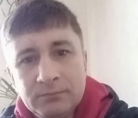 Андрей, 44 года, Томск