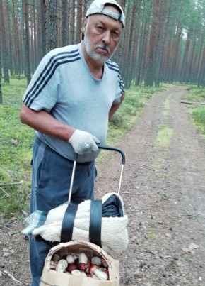 сергей, 73, Россия, Питерка