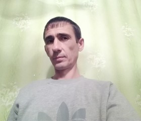 николай, 48 лет, Бийск
