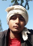 Vikas Yadav, 20 лет, Ludhiana