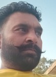 Raman Bhagat, 37 лет, Ludhiana