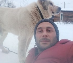 Alert, 36, Ryazan