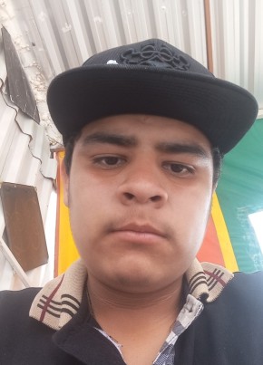 Victor, 26, Mexico, Puebla (Puebla)