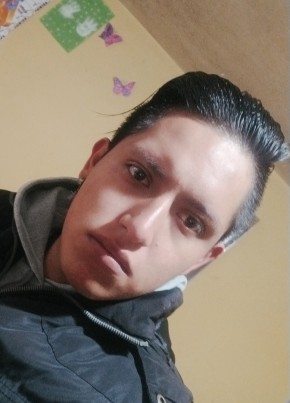 Alexander, 25, Mexico, La Magdalena Tlaltelulco