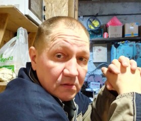 Дмитрий, 49 лет, Качканар