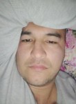Dostonbek, 31 год, Namangan
