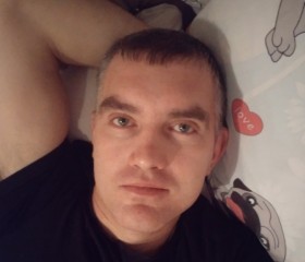 Николай, 43 года, Воронеж