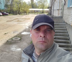 Игорь Зайцев, 45 лет, Невель