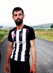 Savaş, 23 года, Hakkari