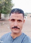البرنس, 49 лет, العين، أبوظبي