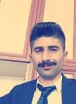 huzur25, 34 года, Hınıs