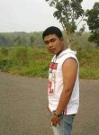 Bagas, 33 года, Kota Palembang