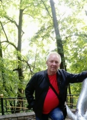 Александр, 62, Россия, Раменское