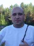 Александр, 44 года, Ижевск
