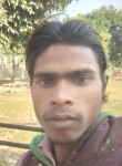 Shilander Kumar, 28 лет, Ludhiana