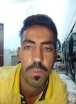 Hawkar Sherwany, 29 лет, محافظة أربيل