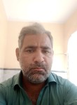 Lalbazkhan, 38 лет, پشاور