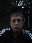 Олег, 28 лет, Тула