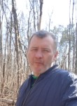 Андрей, 44 года, Мытищи