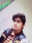 ravi singh, 24 года, Lucknow