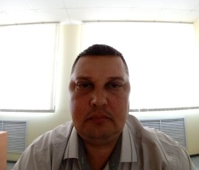 Павел Гришко, 43 года, Нижний Тагил