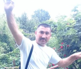 Дониер, 49 лет, Ишеевка