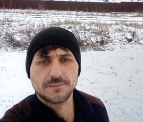 Sakhavet, 41, Vologda