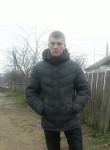 Олег, 29 лет, Малин