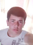 Садриддин, 23 года, Москва